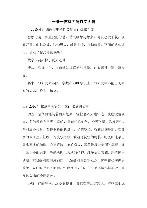 一景一物总关情作文5篇 .doc