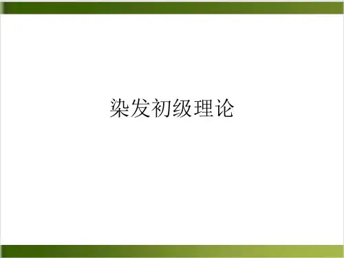 染发初级理论PPT课件