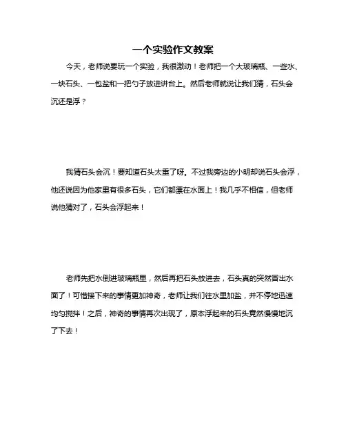 一个实验作文教案