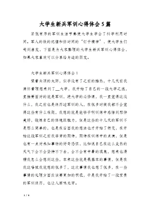 大学生新兵军训心得体会5篇