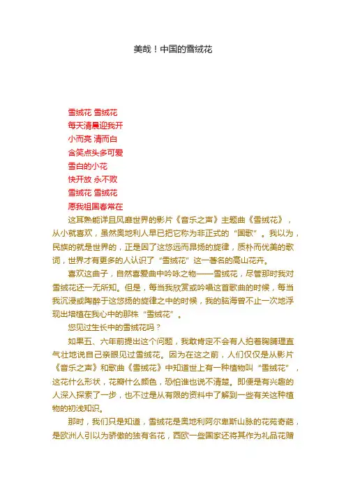 美哉！中国的雪绒花