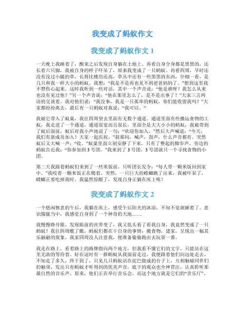 我变成了蚂蚁作文