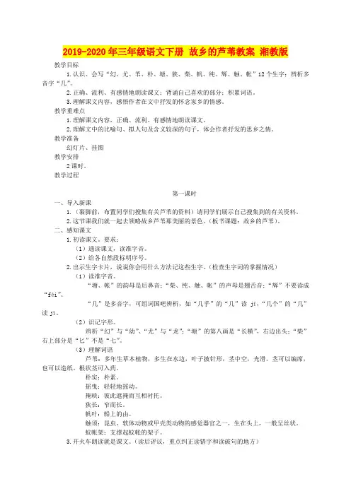 2019-2020年三年级语文下册 故乡的芦苇教案 湘教版