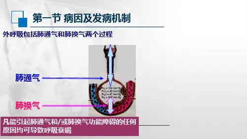 76肺通气功能障碍