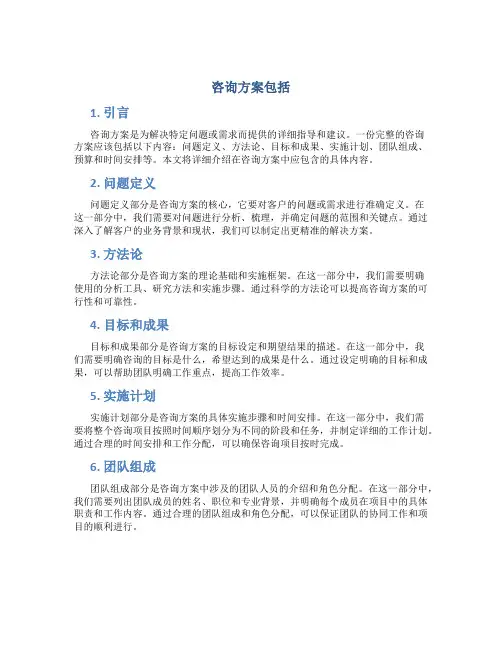 咨询方案包括