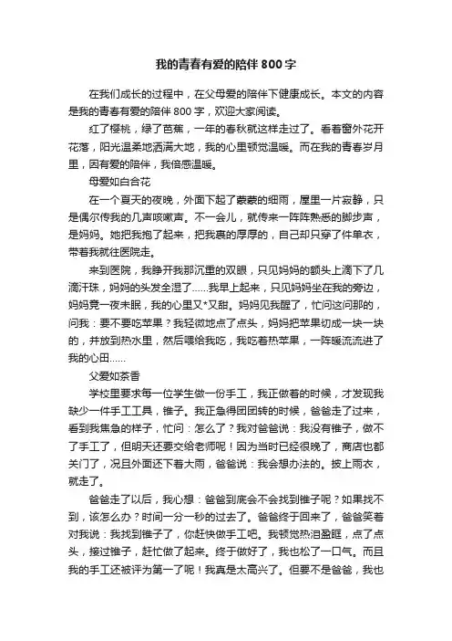我的青春有爱的陪伴800字
