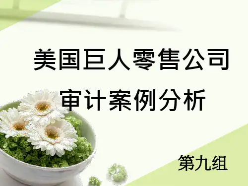 美国巨人零售公司审计案例分析
