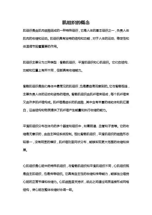 肌组织的概念