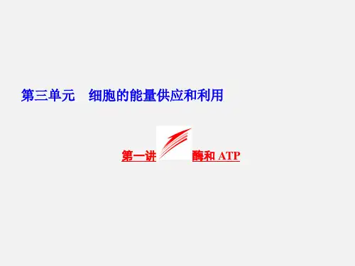高考生物 一轮复习 第三单元 第1讲 酶和ATP 新人教必修1