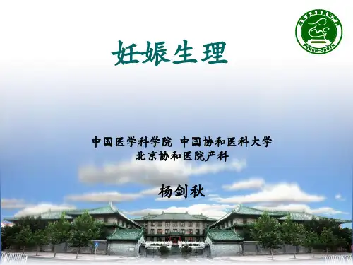 妊娠生理ppt