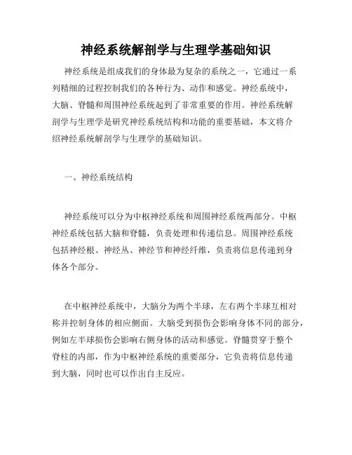 神经系统解剖学与生理学基础知识