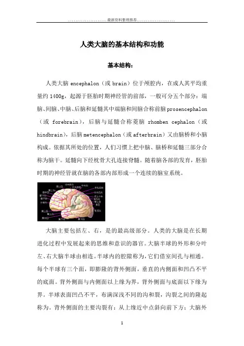 人类大脑的基本结构和功能