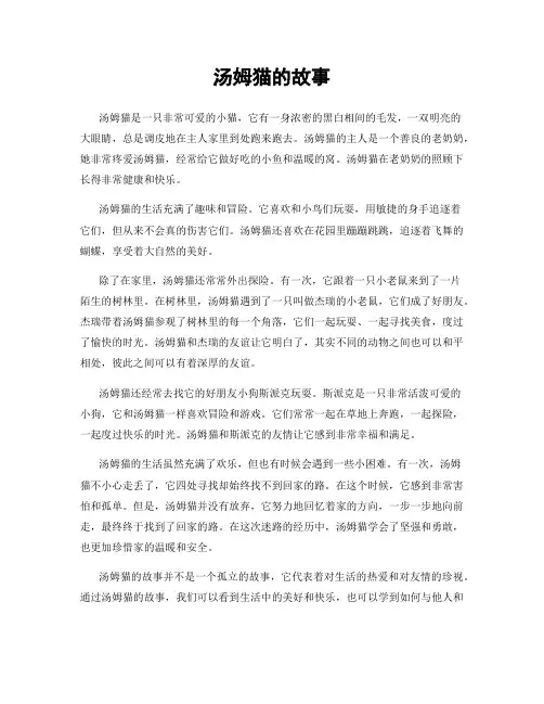 汤姆猫的故事