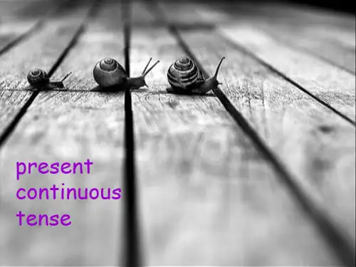 present continuous tense