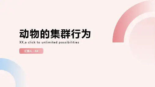 了解动物的集群行为