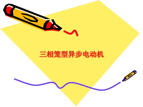 三相笼型异步电动机