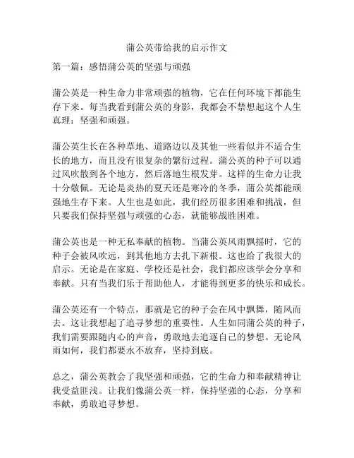 蒲公英带给我的启示作文