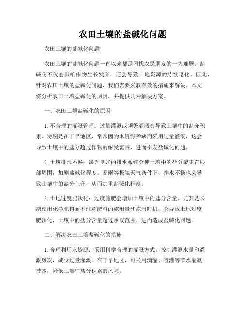  农田土壤的盐碱化问题