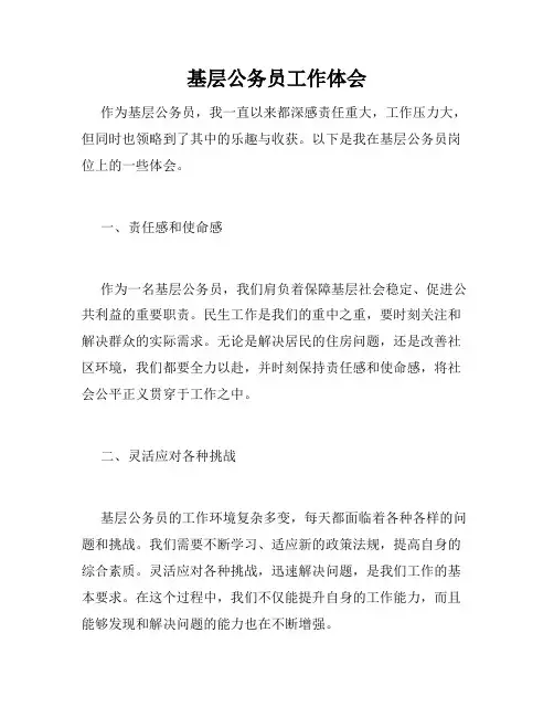 基层公务员工作体会