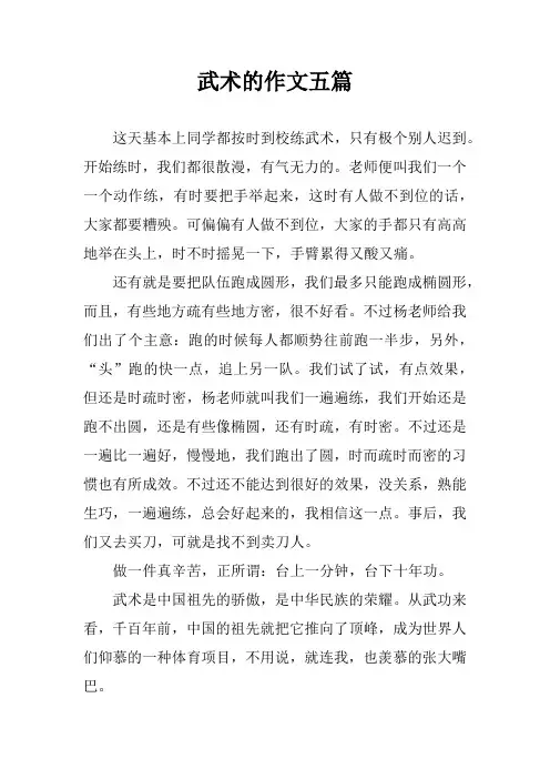 武术的作文五篇