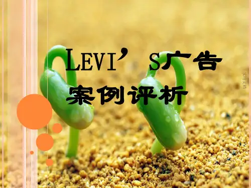 Levi’s广告案例评析