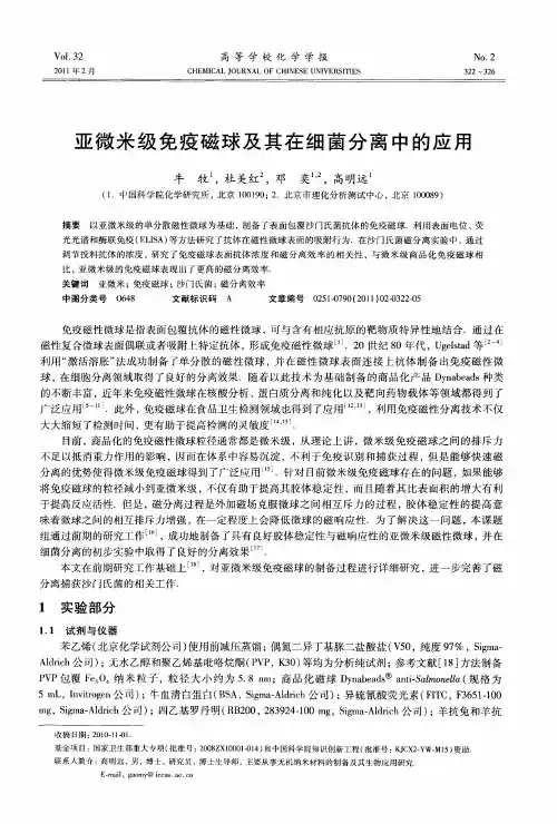 亚微米级免疫磁球及其在细菌分离中的应用