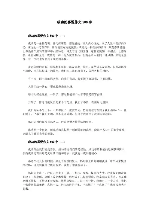 成功的喜悦作文500字 2