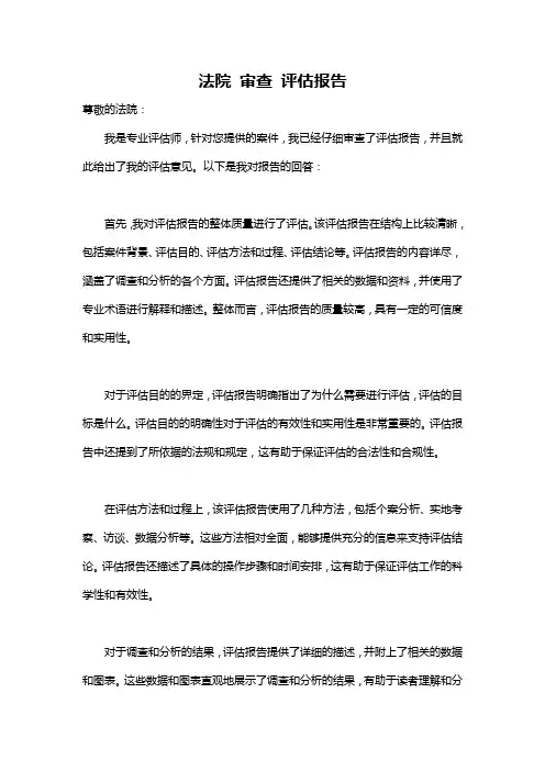 法院 审查 评估报告