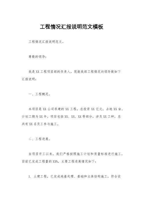 工程情况汇报说明范文模板