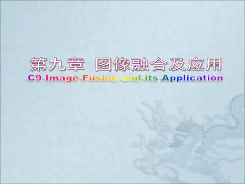 图像融合及应用ppt课件