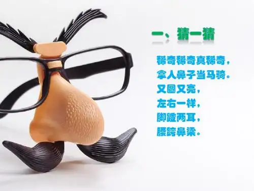 三年级下册美术《有趣的眼镜》赣美版