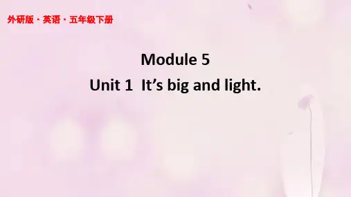外研版(三起)英语五年级下册Module5 Unit 1 It’s big and light课件