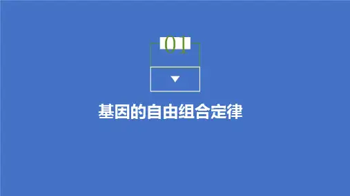 2021-高中生物苏教版必修二课件：第三章 第二节 基因的自由组合定律 