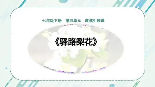 《驿路梨花》ppt课件