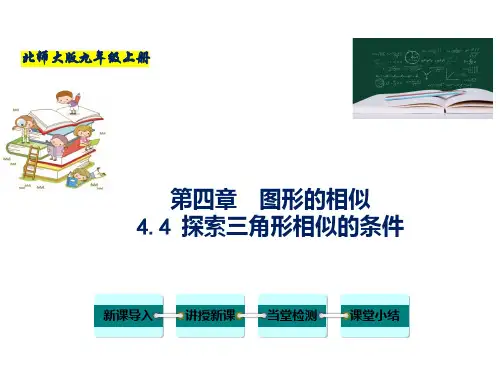 北师大版九年级数学上册  探索三角形相似的条件