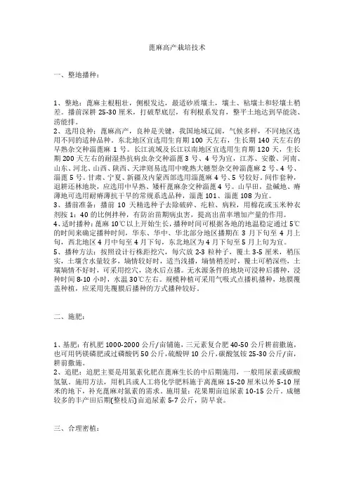 蓖麻高产栽培技术