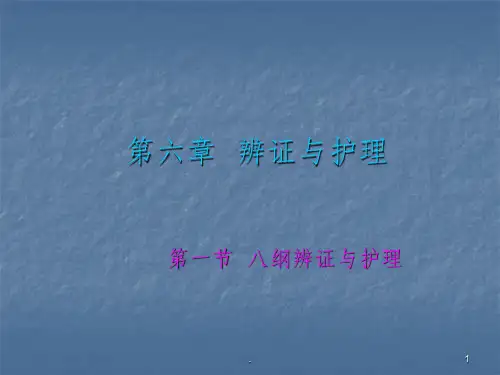 八纲辨证与护理ppt课件