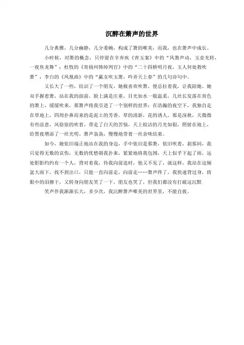 沉醉在箫声的世界