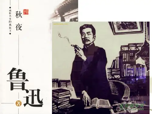 《秋夜》ppt课件