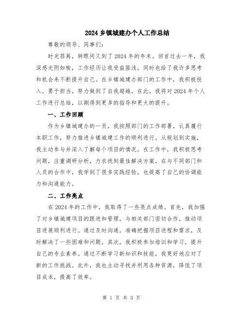 2024乡镇城建办个人工作总结