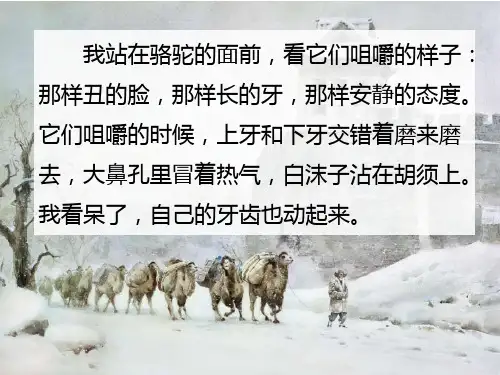 《城南旧事》读书分享课PPT课件