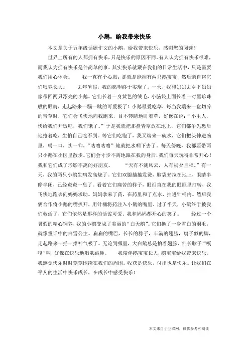 小鹅,给我带来快乐_五年级话题作文