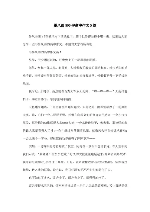 暴风雨800字高中作文5篇