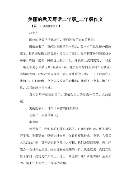 美丽的秋天写话二年级_二年级作文