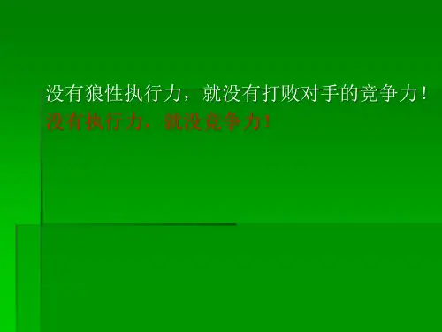 像狼一样执行eesj
