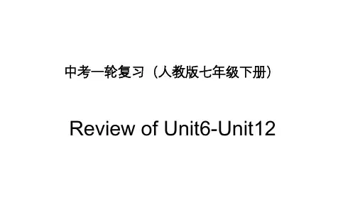 初中英语中考复习 中考一轮复习人教版七年级下册Review of Unit6-Unit12 