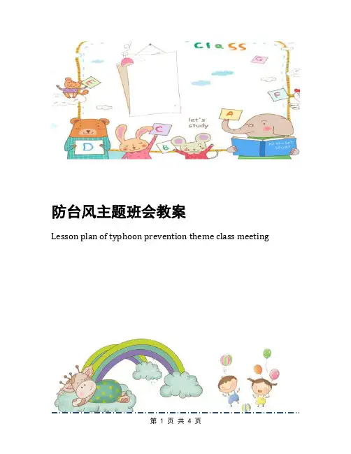 防台风主题班会教案