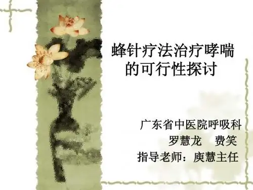 蜂针PPT