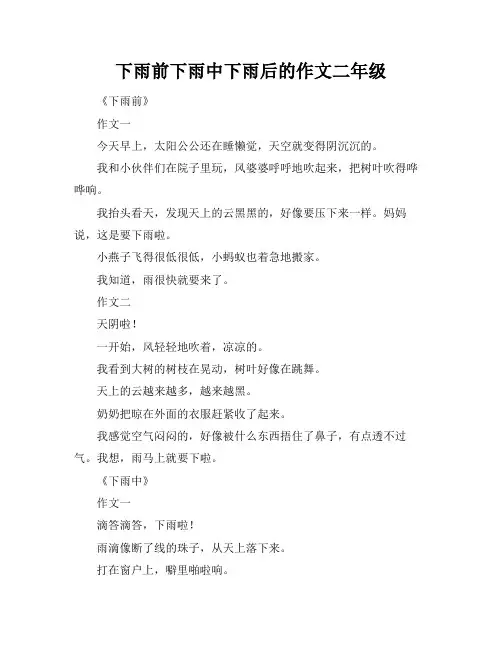 下雨前下雨中下雨后的作文二年级