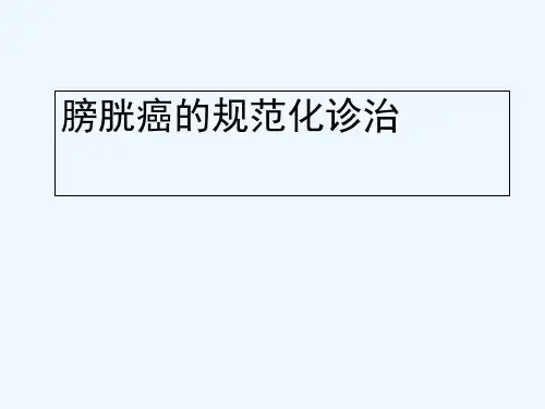 膀胱癌的规范化诊治(134页)